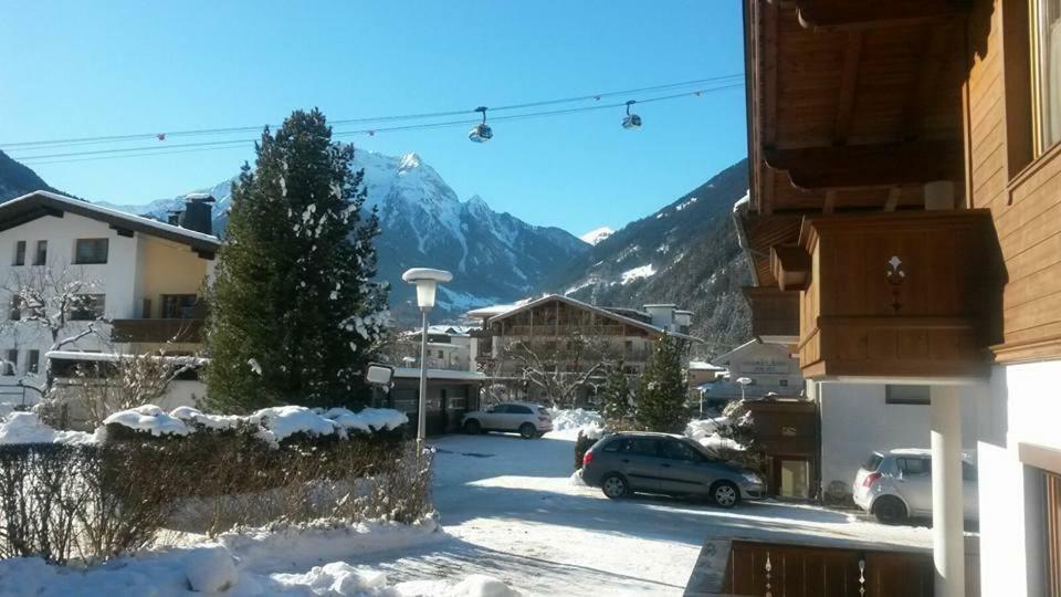 Alpenrose