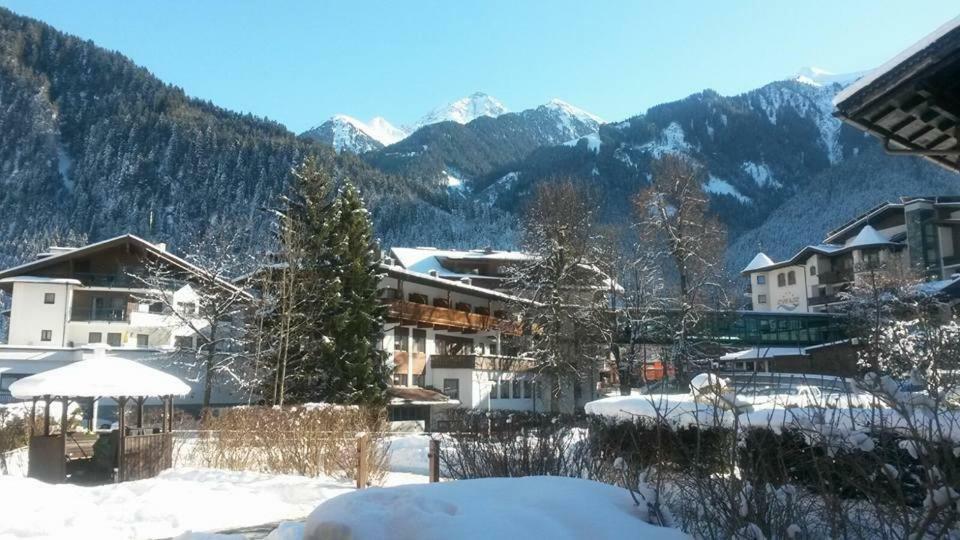 Alpenrose Mayrhofen