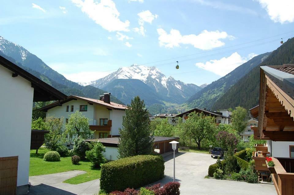 Alpenrose Apartment *