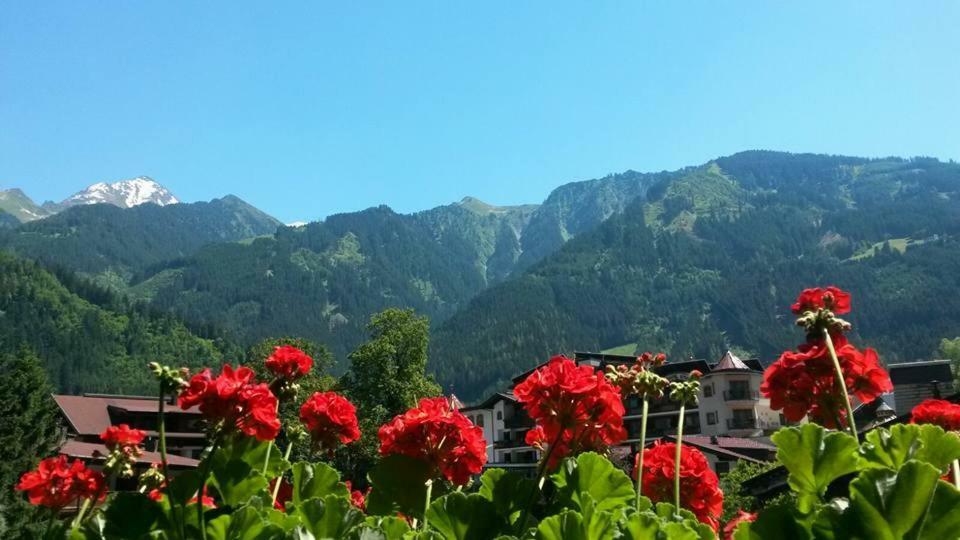 Alpenrose Apartment *